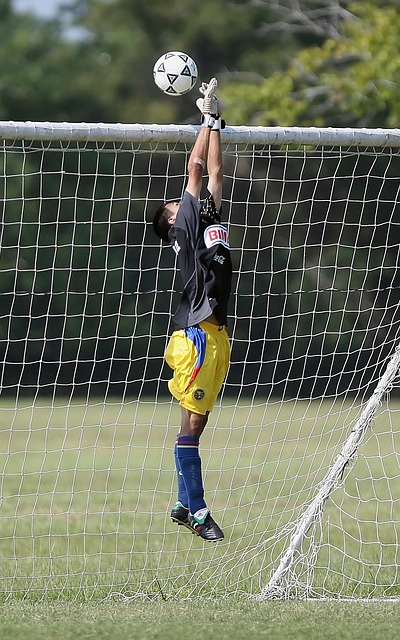 导力