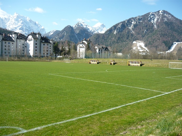 据如何定